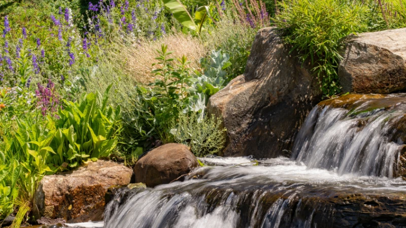 Cottage-style natural garden with flowers