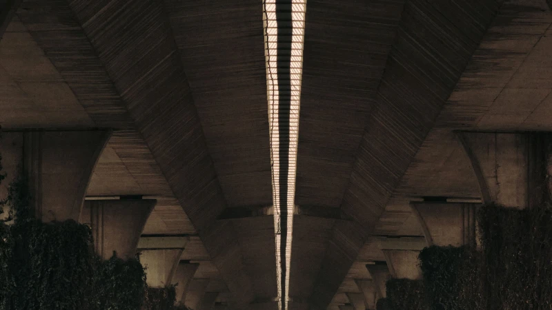 Creative underground garden