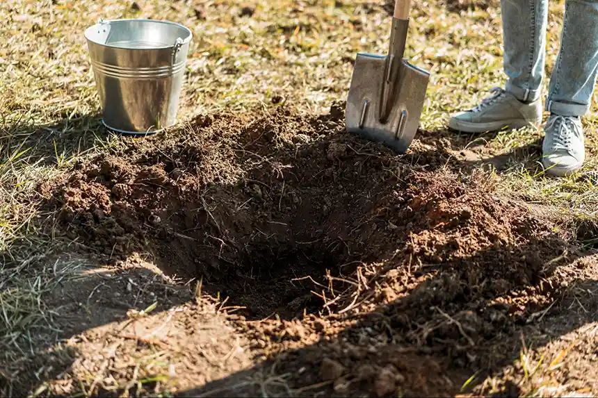 Digging a hole to plant sunflowers.