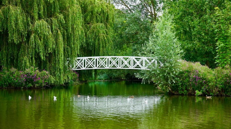 English landscape garden with winding garden path