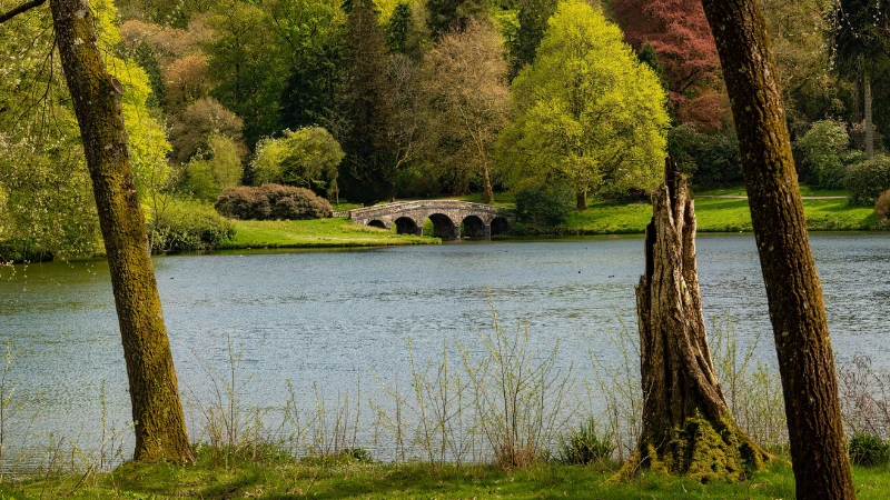 English landscape garden with green lawn and trees