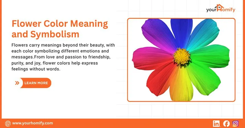 Flower Color Meaning and Symbolism