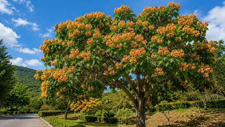 Geiger Tree