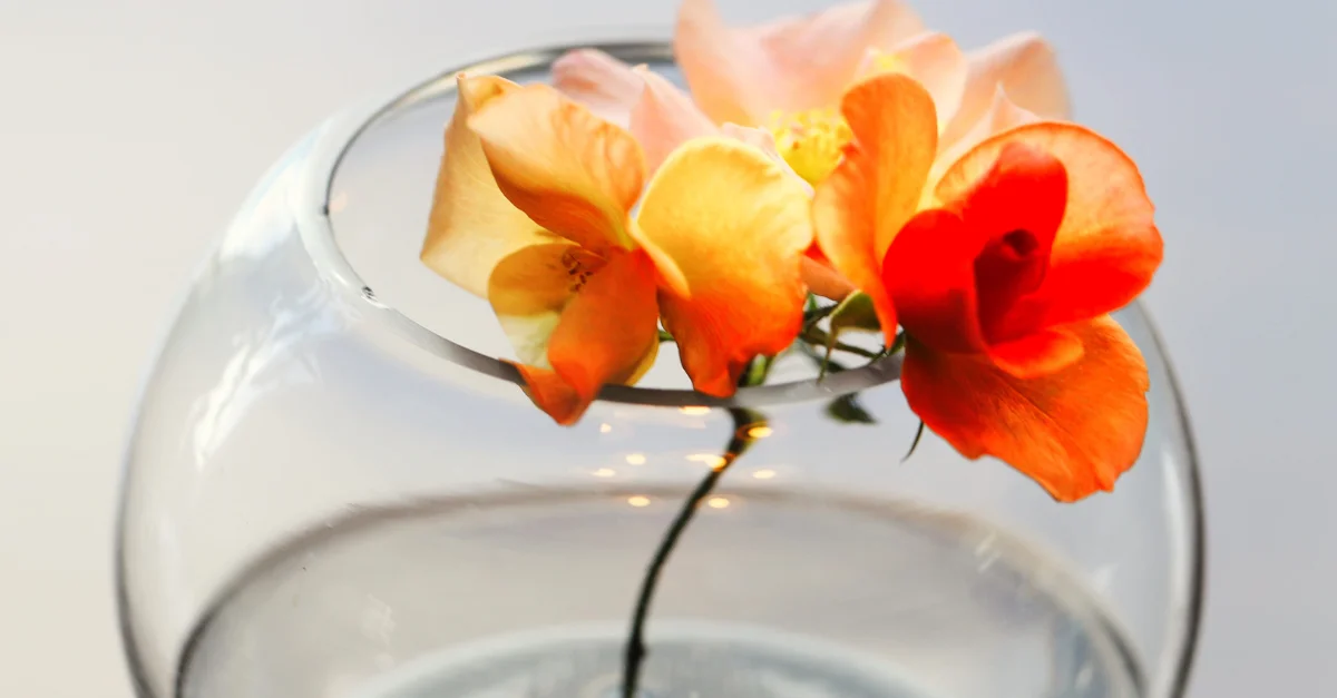Glass Decor Bowls Featured Image