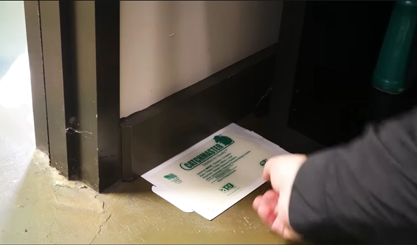 Glue Boards