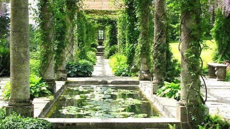 Greek garden with Mediterranean plants and greenery