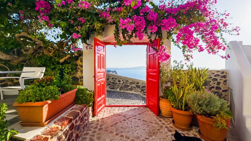 Greek garden with stone walls and Mediterranean plants