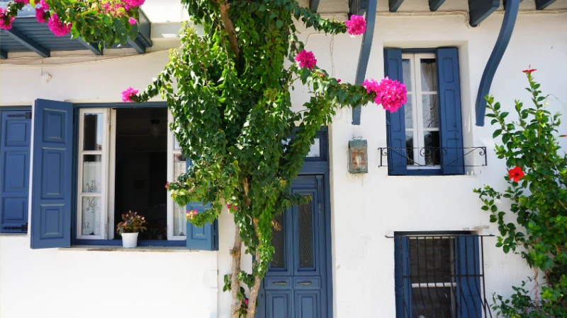 Greek garden with white flowers and green plants