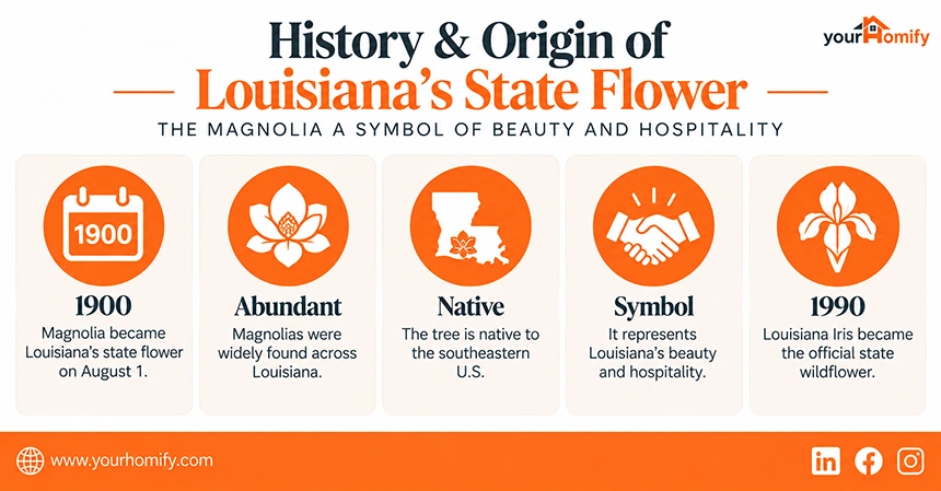 History and Origin of the State Flower for Louisiana