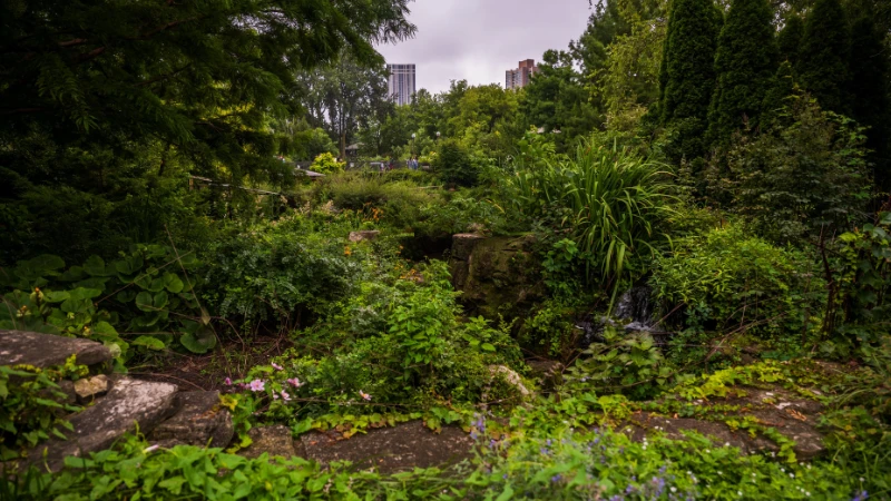 Lush natural garden landscape with green plants
