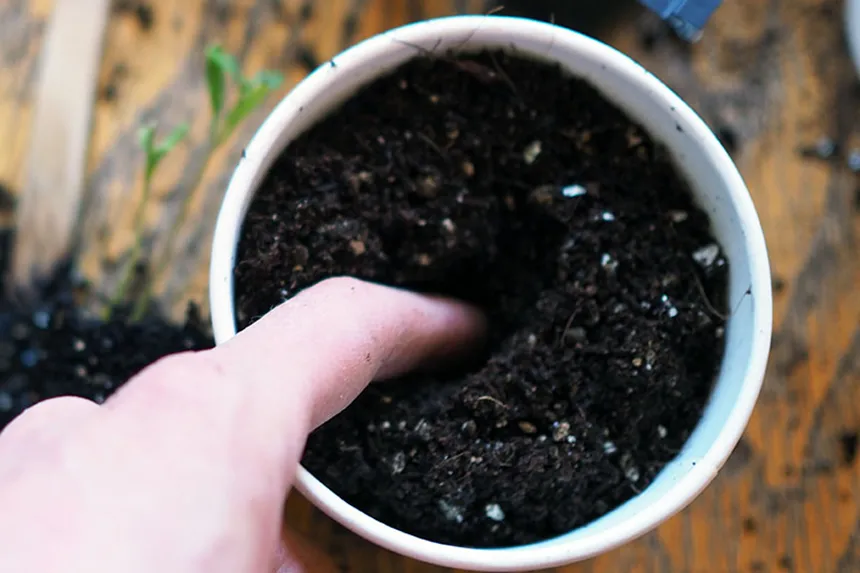 Making a hole in the soil