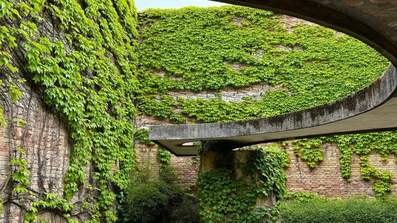 Modern underground garden