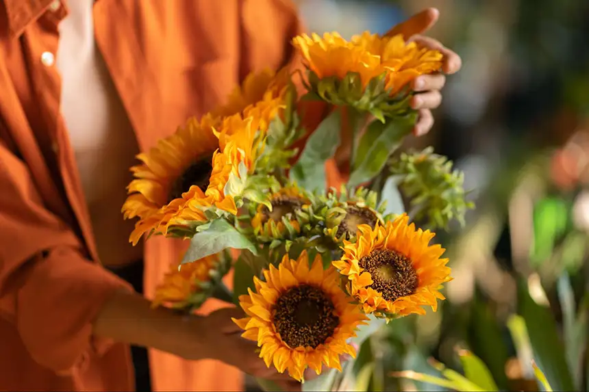 Multiple flowers growing on a single stem.