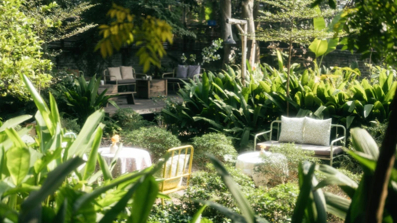 Natural garden featuring ornamental grasses and plants