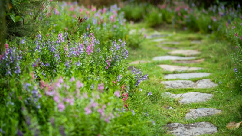 Natural garden with colorful wildflowers