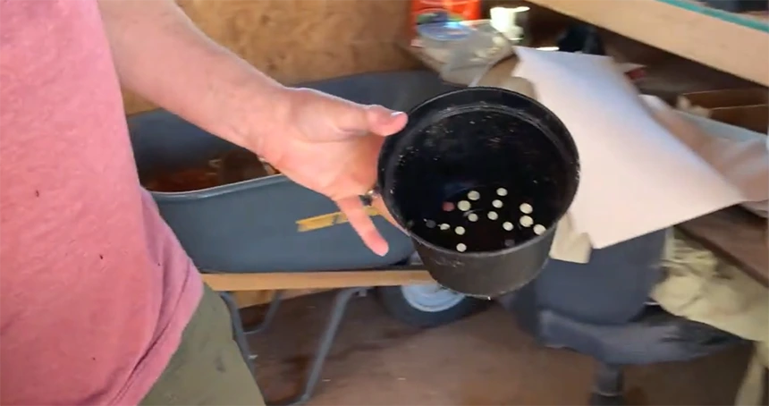 Pot with proper drainage holes