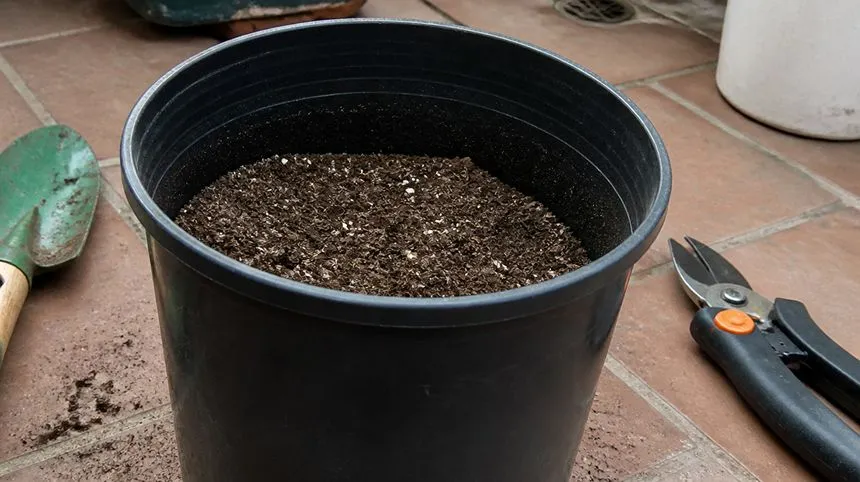 Potting Mixture