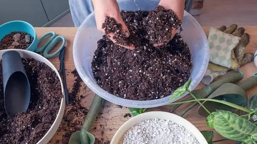 Preparing soil mix