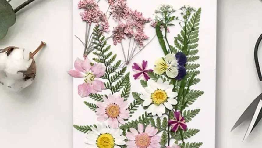 Pressed chrysanthemums on a sheet of paper.