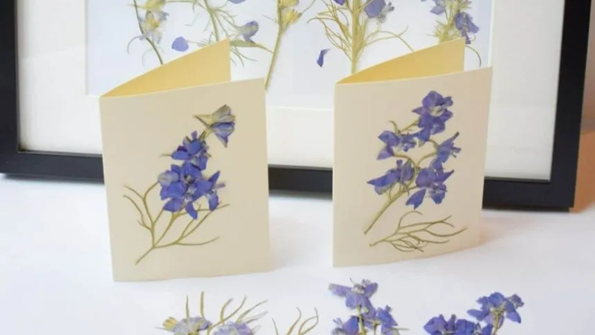 Pressed flowers on a card.