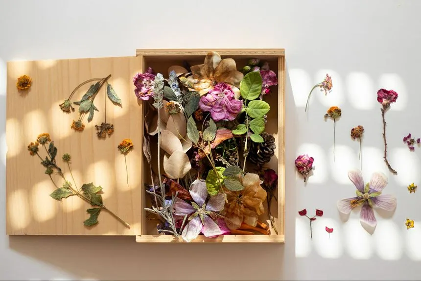 Pressed flowers stacked inside a wooden box