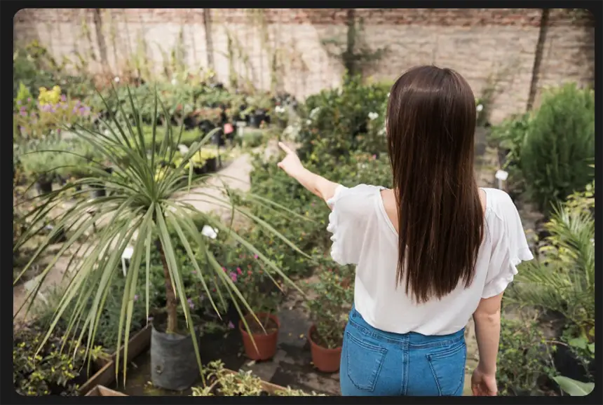 Right Planting Location