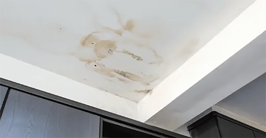 Roof Damaged