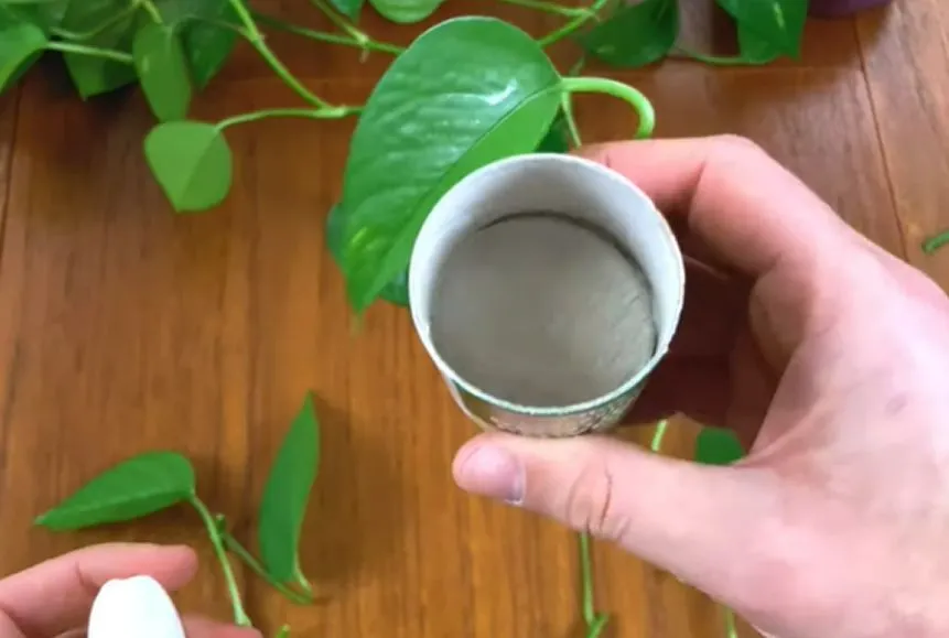 Rooting hormone