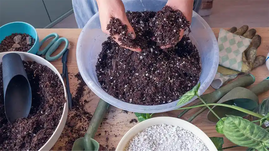Soil Mix