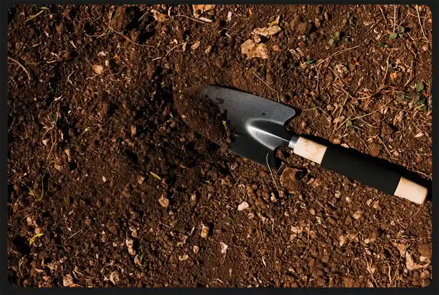 Soil Preparation
