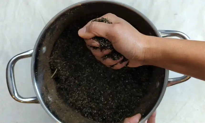 Soil mix for dahlia seeds