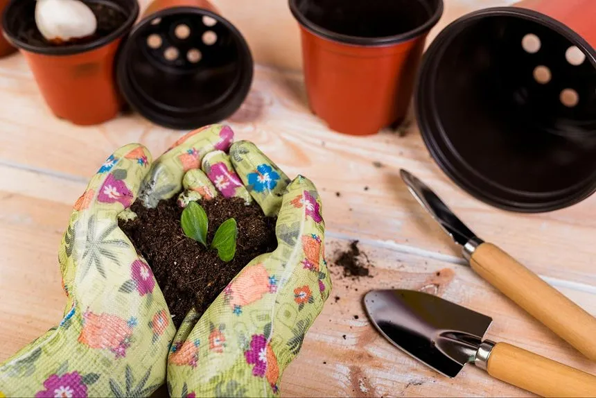 Soil preparation for flowers to grow properly