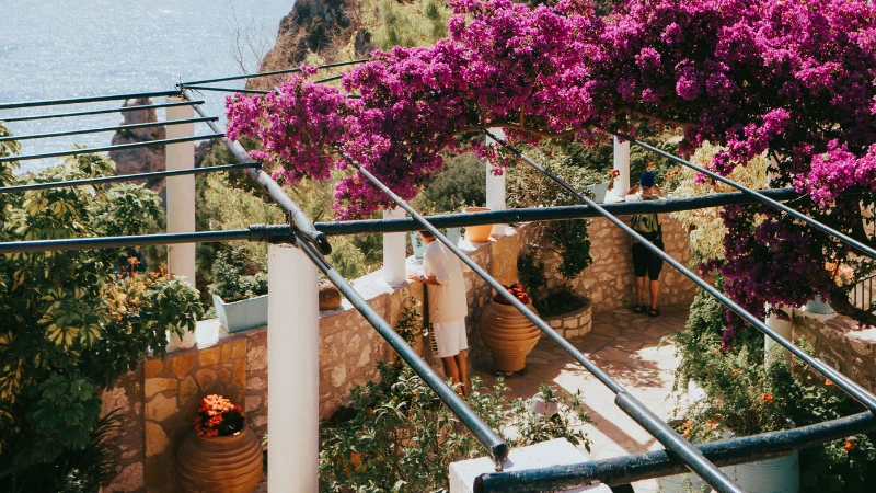traditional Greek garden with stone pathways and plants