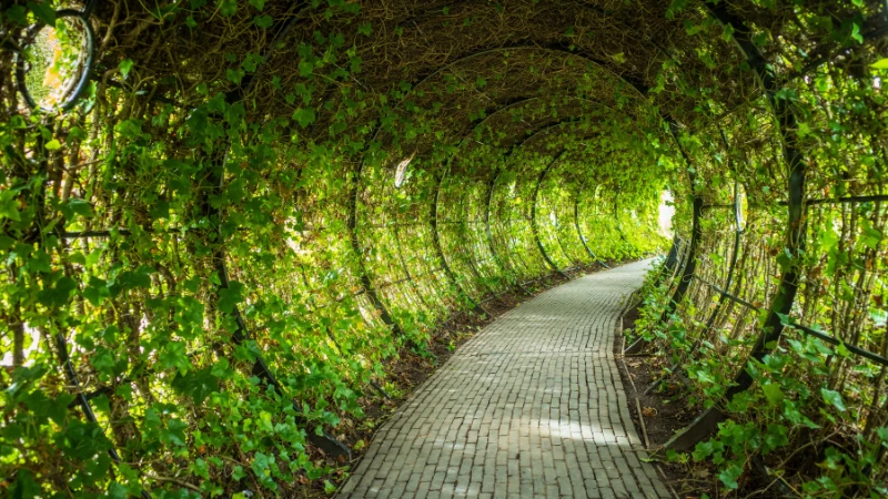 Underground garden with plants