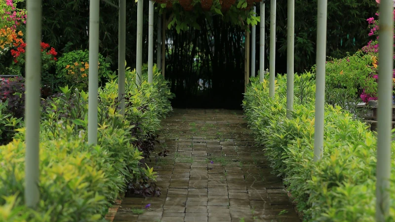 Underground garden landscape