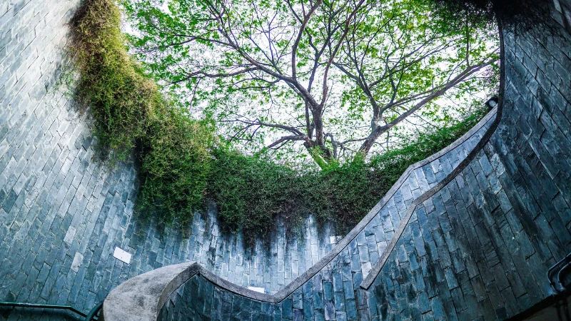 Underground garden design