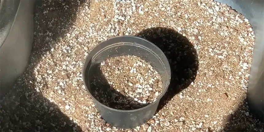 Well draining potting mix