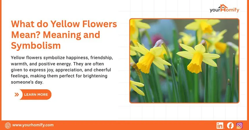What do Yellow Flowers Mean
