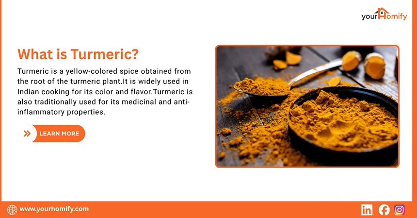 What is Turmeric