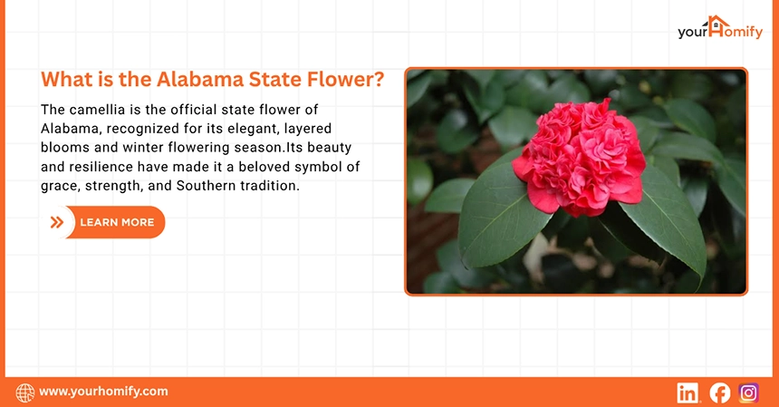 What is the Alabama State Flower