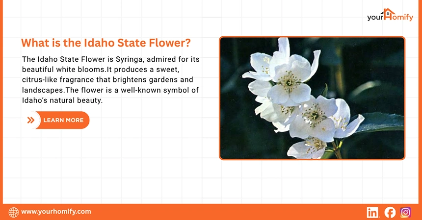 What is the Idaho State Flower