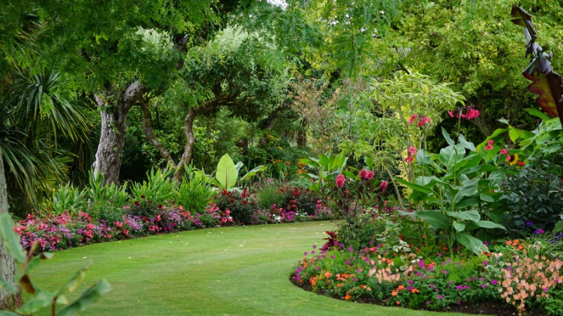 Wildlife-friendly natural garden with native plants