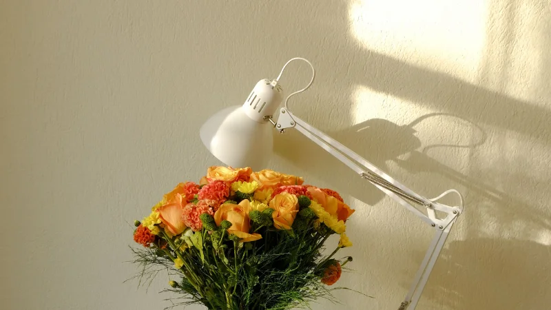 Stylish Desk Lamp