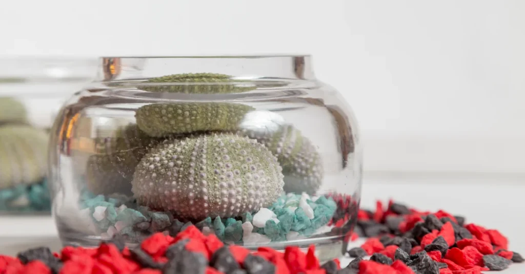 Stylish glass decor bowls