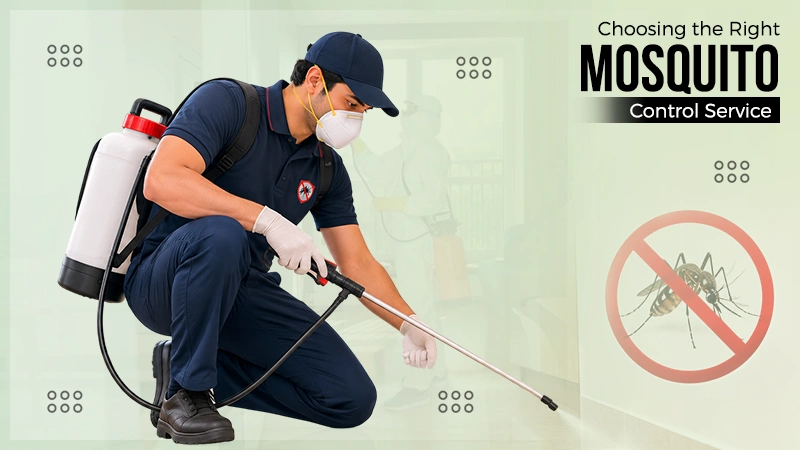 home mosquito control service