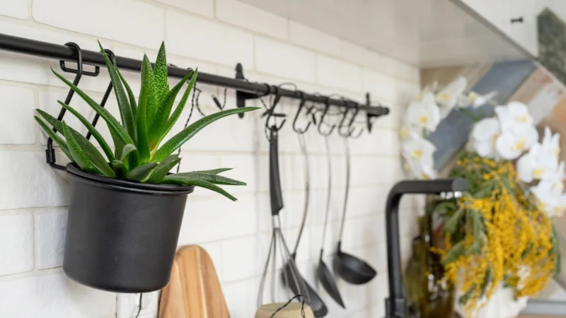 Kitchen wall decoration for home
