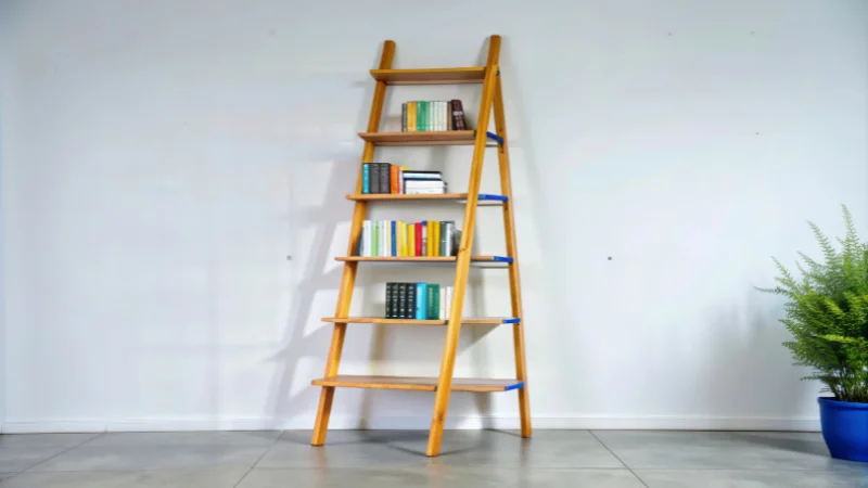 Wooden ladder shelf for home