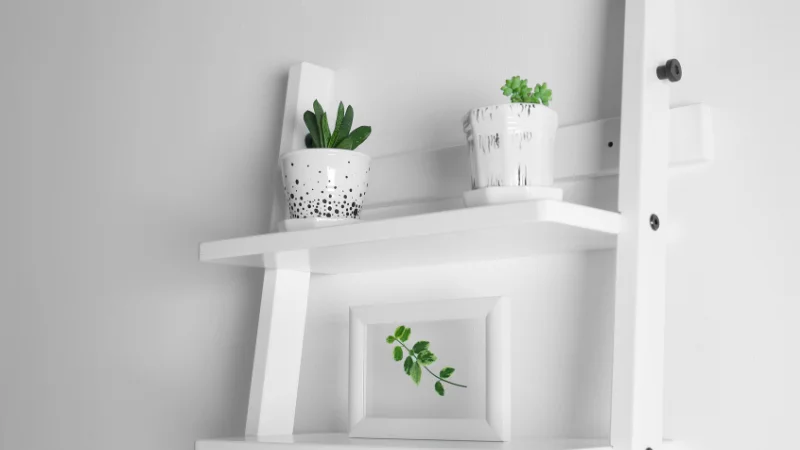 Decorative ladder shelf for living room