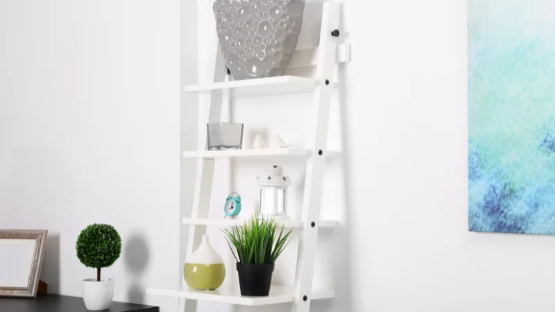 Ladder bookshelf for living room