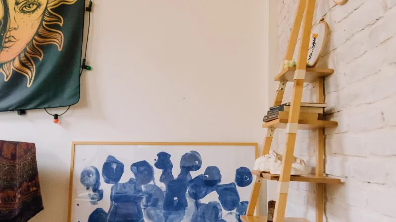 Stylish ladder shelf for interior